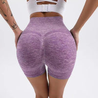 Seamless High-Waist Yoga Shorts with Sculpt Fit