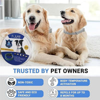 Itch-Free Protection – Natural Anti-Flea & Tick Collar (8 Months)