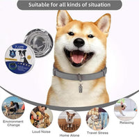 Itch-Free Protection – Natural Anti-Flea & Tick Collar (8 Months)