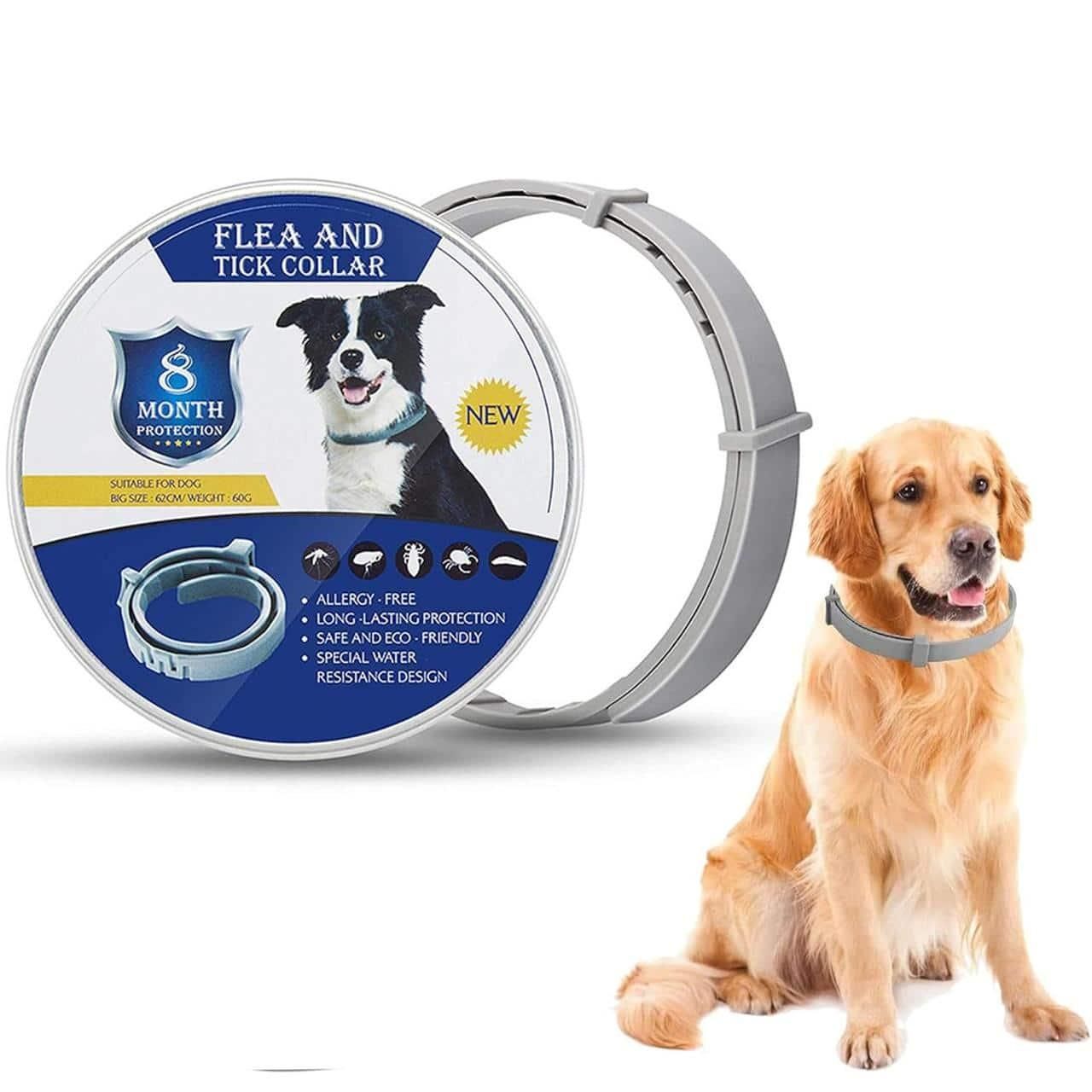 Itch-Free Protection – Natural Anti-Flea & Tick Collar (8 Months)