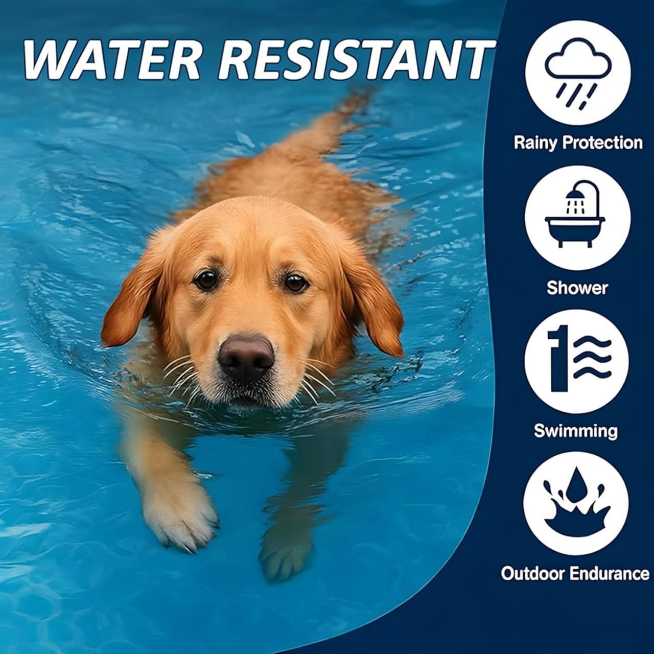 Itch-Free Protection – Natural Anti-Flea & Tick Collar (8 Months)