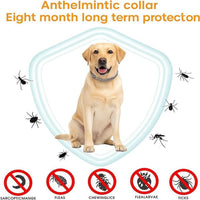 Itch-Free Protection – Natural Anti-Flea & Tick Collar (8 Months)