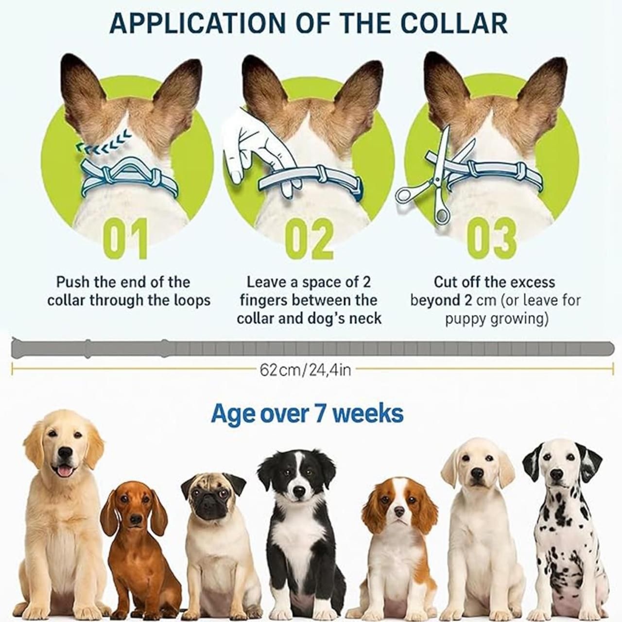 Itch-Free Protection – Natural Anti-Flea & Tick Collar (8 Months)