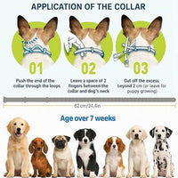 Itch-Free Protection – Natural Anti-Flea & Tick Collar (8 Months)