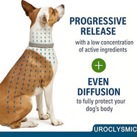 Itch-Free Protection – Natural Anti-Flea & Tick Collar (8 Months)